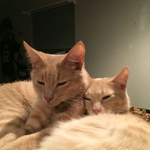 Meet your Posher, Kerri